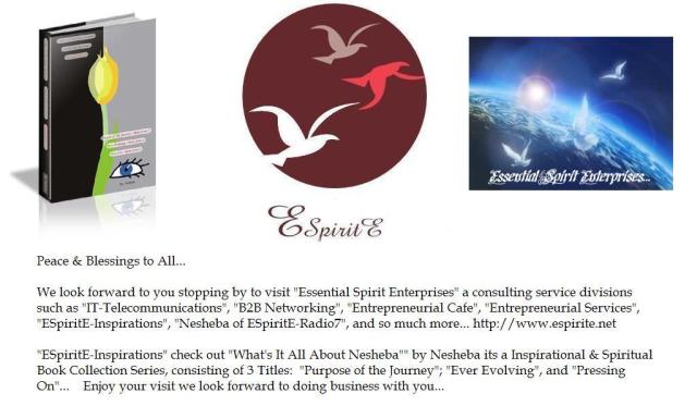 Essential Spirit Enterprises - Consulting Services